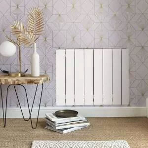 radiateur fluide caloporteur