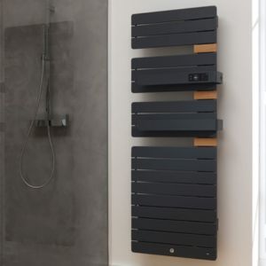 Sèche-serviettes Allure Thermor : Vue d'ensemble